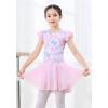 imageDIPUG Ballet Leotards for Girls Ballet Leotard with Skirt Toddler Dance Leotards Flutter Sleeve and CrissCross BackPinkbutterfly
