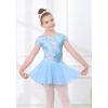 imageDIPUG Girls Ballet Leotards with Removable Skirt Toddler Hollow Back Dance Dress ComboBlue Sky