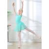 imageDIPUG Girls Ballet Leotards with Removable Skirt Toddler Hollow Back Dance Dress ComboGreenshort Sleeve