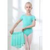 imageDIPUG Girls Ballet Leotards with Removable Skirt Toddler Hollow Back Dance Dress ComboGreenshort Sleeve