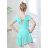 imageDIPUG Girls Ballet Leotards with Removable Skirt Toddler Hollow Back Dance Dress ComboGreenshort Sleeve