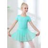 imageDIPUG Girls Ballet Leotards with Removable Skirt Toddler Hollow Back Dance Dress ComboGreenshort Sleeve