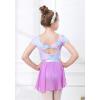 imageDIPUG Girls Ballet Leotards with Removable Skirt Toddler Hollow Back Dance Dress ComboPurple Mermaid