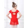 imageDIPUG Girls Ballet Leotards with Removable Skirt Toddler Hollow Back Dance Dress ComboRedshort Sleeve