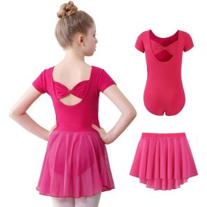imageDIPUG Girls Ballet Leotards with Removable Skirt Toddler Hollow Back Dance Dress ComboRose