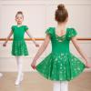 imageDIPUG Ballet Leotards for Girls with Skirt Shiny Toddler Dance Leotard ButterflyGrass Green