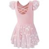 imageDIPUG Ballet Leotards for Girls with Skirt Shiny Toddler Dance Leotard ButterflyPink