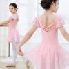 imageDIPUG Ballet Leotards for Girls with Skirt Shiny Toddler Dance Leotard ButterflyPink