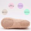 imageDIPUG Ballet Shoes for Girls Toddler Dance Slipper PU Leather Kids Ballerina ShoeBallet Pink Light Beige  Split Sole