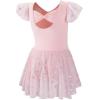 imageDIPUG Dance Leotards for Girls Shiny Dresses Ballet Leotard BowPink