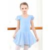 imageDIPUG Girls Ballet Leotards Toddler Shiny Dance Leotard Dresses with Ruffle SleeveBlue