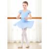 imageDIPUG Girls Ballet Leotards Toddler Shiny Dance Leotard Dresses with Ruffle SleeveBlue