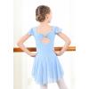 imageDIPUG Girls Ballet Leotards Toddler Shiny Dance Leotard Dresses with Ruffle SleeveBlue