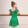 imageDIPUG Girls Ballet Leotards Toddler Shiny Dance Leotard Dresses with Ruffle SleeveGrass Green