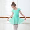 imageDIPUG Girls Ballet Leotards Toddler Shiny Dance Leotard Dresses with Ruffle SleeveGreen