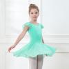 imageDIPUG Girls Ballet Leotards Toddler Shiny Dance Leotard Dresses with Ruffle SleeveGreen