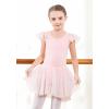 imageDIPUG Girls Ballet Leotards Toddler Shiny Dance Leotard Dresses with Ruffle SleevePink