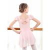 imageDIPUG Girls Ballet Leotards Toddler Shiny Dance Leotard Dresses with Ruffle SleevePink