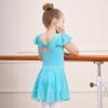 imageDIPUG Girls Ballet Leotards Toddler Shiny Dance Leotard Dresses with Ruffle SleevePool Blue
