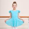 imageDIPUG Girls Ballet Leotards Toddler Shiny Dance Leotard Dresses with Ruffle SleevePool Blue
