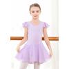 imageDIPUG Girls Ballet Leotards Toddler Shiny Dance Leotard Dresses with Ruffle SleevePurple