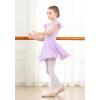 imageDIPUG Girls Ballet Leotards Toddler Shiny Dance Leotard Dresses with Ruffle SleevePurple