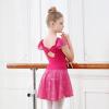 imageDIPUG Girls Ballet Leotards Toddler Shiny Dance Leotard Dresses with Ruffle SleeveRose