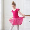 imageDIPUG Girls Ballet Leotards Toddler Shiny Dance Leotard Dresses with Ruffle SleeveRose