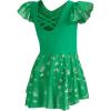 imageDIPUG Ballet Leotards for Girls with Skirt Shiny Toddler Dance Leotard ButterflyGrass Green