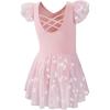imageDIPUG Ballet Leotards for Girls with Skirt Shiny Toddler Dance Leotard ButterflyPink