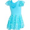 imageDIPUG Ballet Leotards for Girls with Skirt Shiny Toddler Dance Leotard ButterflyPool Blue