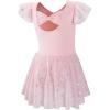 imageDIPUG Dance Leotards for Girls Shiny Dresses Ballet Leotard BowPink