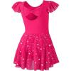 imageDIPUG Girls Ballet Leotards Toddler Shiny Dance Leotard Dresses with Ruffle SleeveRose