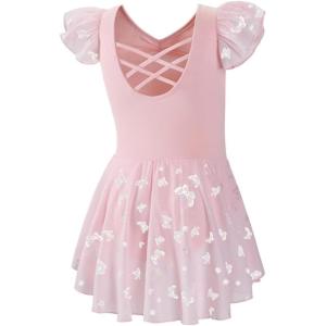 imageDIPUG Ballet Leotards for Girls with Skirt Shiny Toddler Dance Leotard ButterflyPink