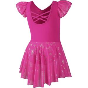 imageDIPUG Ballet Leotards for Girls with Skirt Shiny Toddler Dance Leotard ButterflyRose