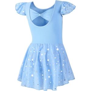 imageDIPUG Girls Ballet Leotards Toddler Shiny Dance Leotard Dresses with Ruffle SleeveBlue