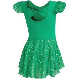 imageDIPUG Girls Ballet Leotards Toddler Shiny Dance Leotard Dresses with Ruffle SleeveGrass Green