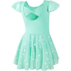 imageDIPUG Girls Ballet Leotards Toddler Shiny Dance Leotard Dresses with Ruffle SleeveGreen