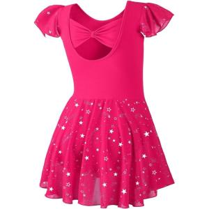 imageDIPUG Girls Ballet Leotards Toddler Shiny Dance Leotard Dresses with Ruffle SleeveRose