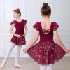 imageDIPUG Ballet Leotards for Girls with Skirt Shiny Toddler Dance Leotard ButterflyBurgundy