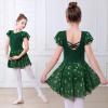 imageDIPUG Ballet Leotards for Girls with Skirt Shiny Toddler Dance Leotard ButterflyDark Green