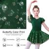 imageDIPUG Ballet Leotards for Girls with Skirt Shiny Toddler Dance Leotard ButterflyDark Green