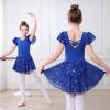 imageDIPUG Ballet Leotards for Girls with Skirt Shiny Toddler Dance Leotard ButterflyRoyal Blue