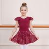imageDIPUG Girls Ballet Leotards Toddler Shiny Dance Leotard Dresses with Ruffle SleeveBurgundy
