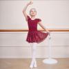 imageDIPUG Girls Ballet Leotards Toddler Shiny Dance Leotard Dresses with Ruffle SleeveBurgundy