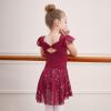 imageDIPUG Girls Ballet Leotards Toddler Shiny Dance Leotard Dresses with Ruffle SleeveBurgundy