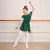 imageDIPUG Girls Ballet Leotards Toddler Shiny Dance Leotard Dresses with Ruffle SleeveDark Green