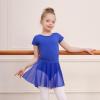 imageDIPUG Girls Ballet Leotards with Removable Skirt Toddler Hollow Back Dance Dress ComboRoyal Blue