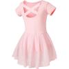 imageDIPUG Ballet Leotards for Girls Dance Leotard Toddler Ballet OutfitPink