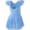 imageDIPUG Ballet Leotards for Girls with Skirt Shiny Toddler Dance Leotard ButterflyBlue
